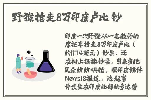 免费看成人在床上打扑克