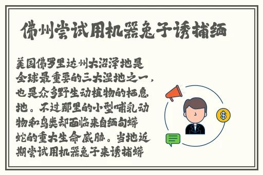 男生激励自己的网站叫什么